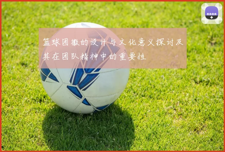 篮球团徽的设计与文化意义探讨及其在团队精神中的重要性