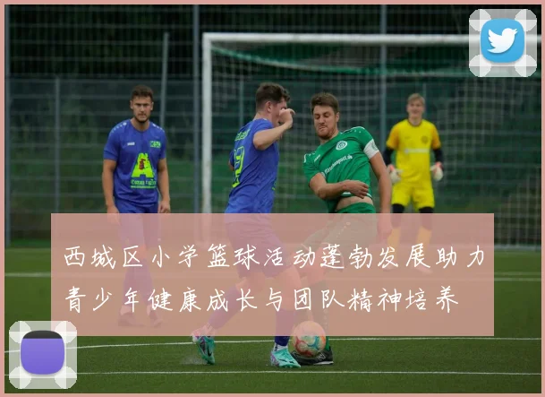 西城区小学篮球活动蓬勃发展助力青少年健康成长与团队精神培养