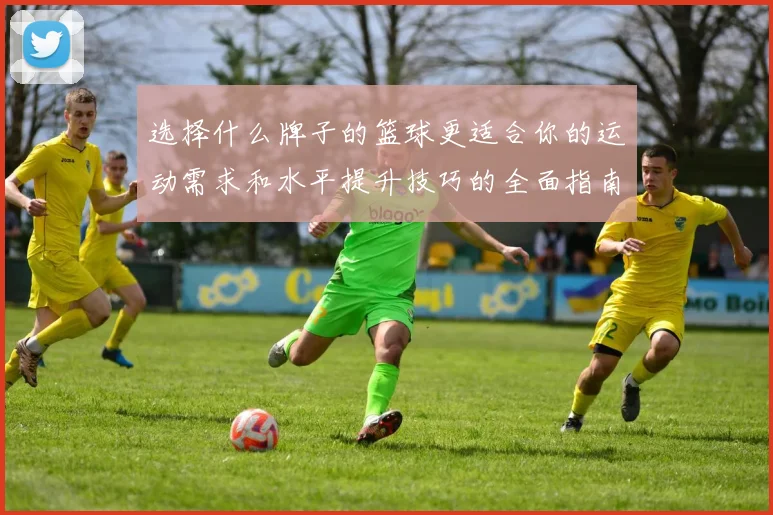 选择什么牌子的篮球更适合你的运动需求和水平提升技巧的全面指南
