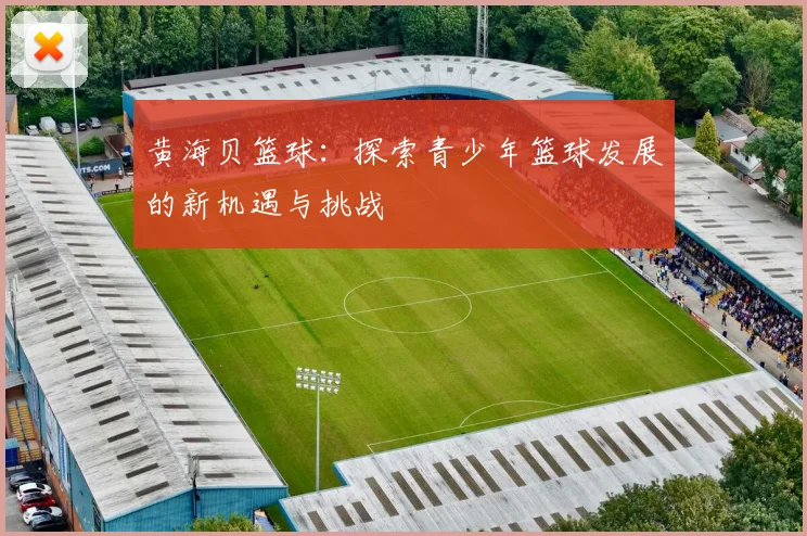 黄海贝篮球:探索青少年篮球发展的新机遇与挑战